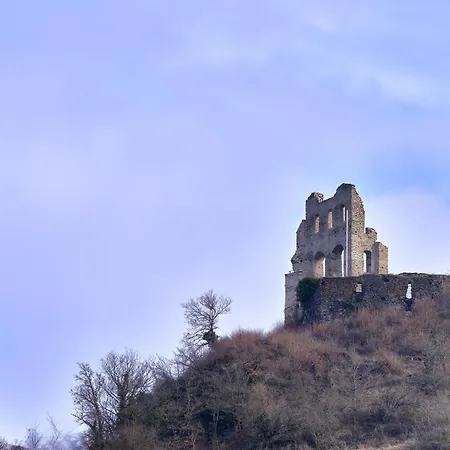 Großzügiges An Der Mosel - Bis 16 Personen - - Waschmaschine - Kostenlose Parkplätze *